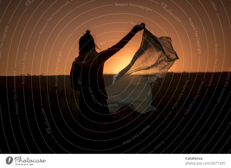 On the horizon the sun sets, the young woman shakes out her shawl Nature Twilight Sunset Evening Sunlight Sky Horizon Silhouette person Young woman Black Orange