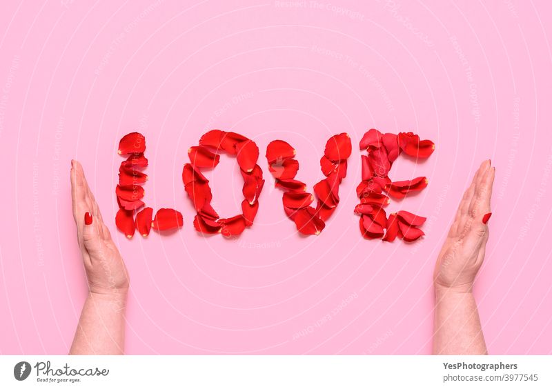 Love word with rose petal letters. Hands embrace love text. Valentine day concept above view anniversary arrangement blossom care celebration creative layout