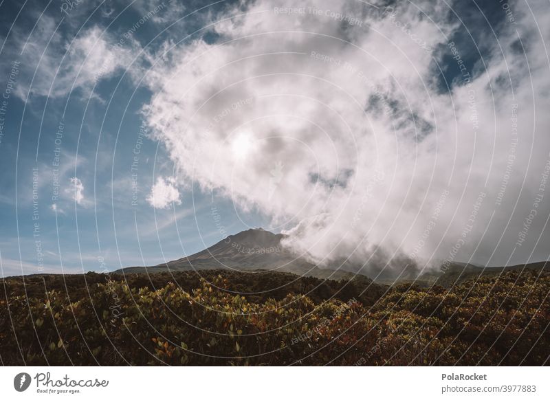 #AS# Mt. Taranaki back taranaki New Zealand Mountain Exterior shot Clouds Deserted natural spectacle rain front Sky Wanderlust Vacation & Travel Peak