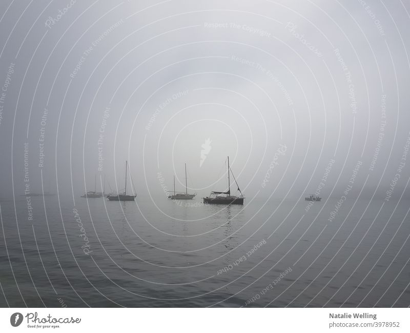 Ghostly sail boats in a fog sea water waterscape nature masts minimalist seaside ocean bay mist watercraft clouds seascape waterfront hazy ghostly foggy eerie