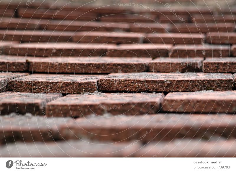 roof tiles Roofing tile House (Residential Structure) Red Architecture depth blur