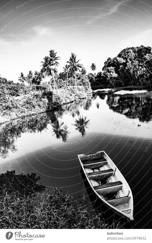 haven of peace Shadow Black & white photo Sunlight Contrast Day Light Idyll Reflection Environmental protection Colour photo Exterior shot Watercraft Wanderlust