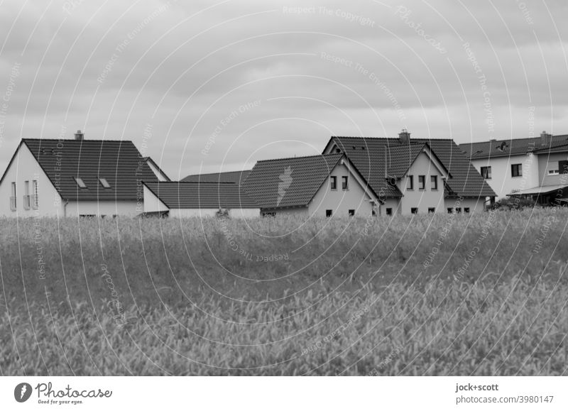 New development area directly at the grain field New settlement Sky Detached house Grain Summer blurriness Raincloud Growth Landscape Climate change Agriculture