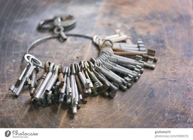 Large antique bunch of keys on an old table | contemporary history Key sure Safety very large numerous Multiple Many Shallow depth of field Close-up Tool