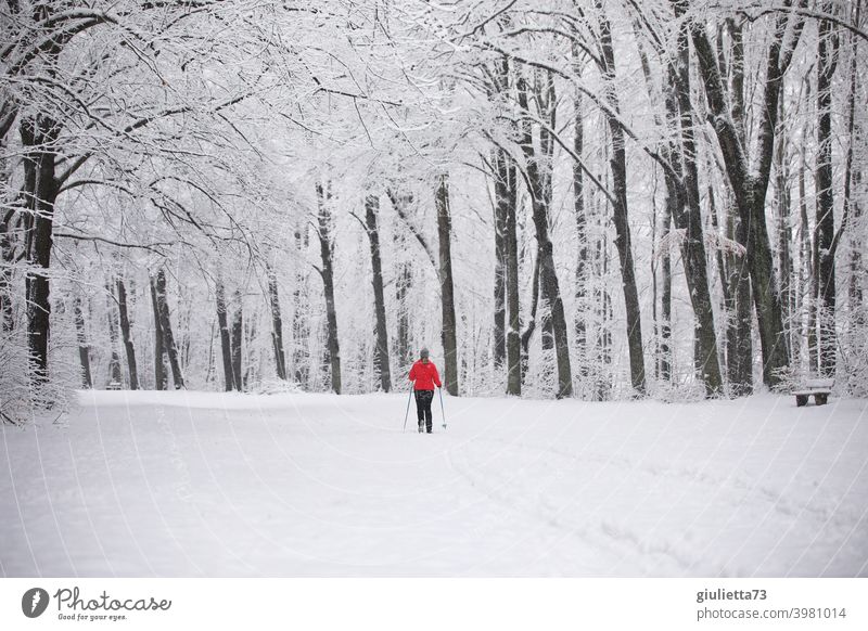 Woman skiing in snowy city park Sports Skiing Cross country skiing Nature Forest Park Snow Snowscape Snow shoes Walking Leisure and hobbies Winter Winter forest