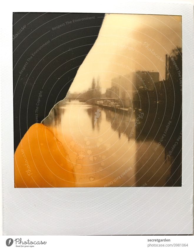 Unadulterated peaceful imperfection. Polaroid Style Transience transient River Hamburg patchwork rug Autumnal Nature Plant Exterior shot Deserted
