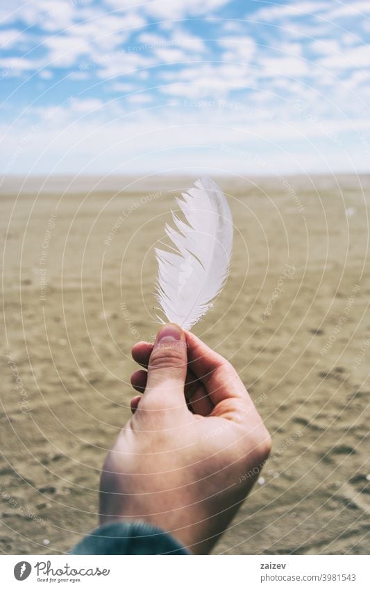 boy fingers holding a white feather of a bird dream harmony moody wellness inspiration solitude tenderness awe faith hope moment oxygen purity smooth human