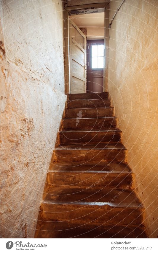 #A0# Cellar stairs with view of cellar door Cellar door Cellar wall cellar compartment Existing flat Stairs Dark Shadow rented apartment Old building