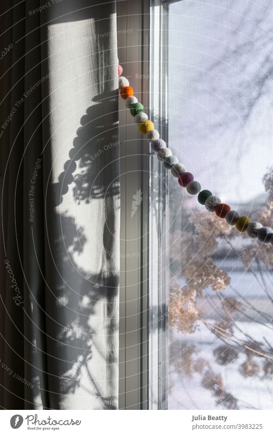 Window with strand of colorful wool balls hanging in front; snow covered dried hydrangea flowers outside and casting shadows inside window curtain garland
