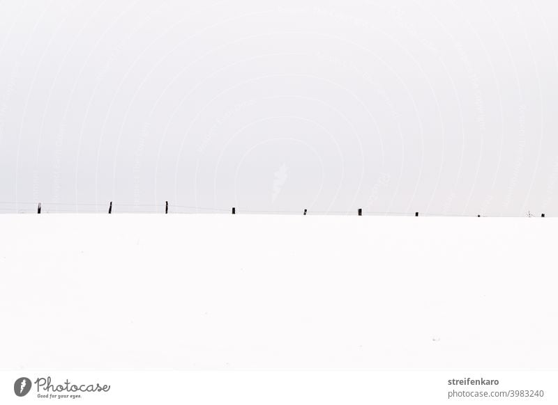 Pasture fence in the snow, reduced to the essentials Fence Winter Snow grey sky Cold Sky Frost Deserted Nature Exterior shot Field White Environment Day