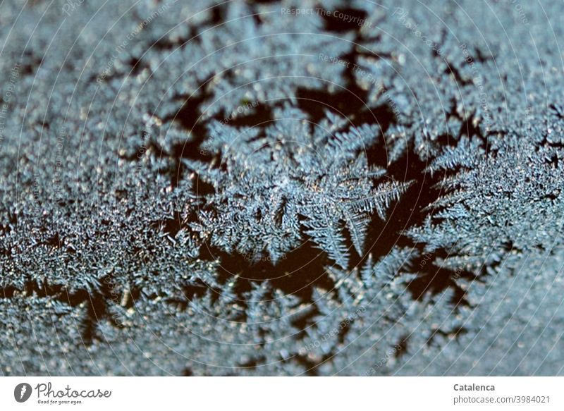 Ice crystals on a window pane Nature Winter ice crystals structure Cold Frost Growth Day daylight Turquoise Freeze Season