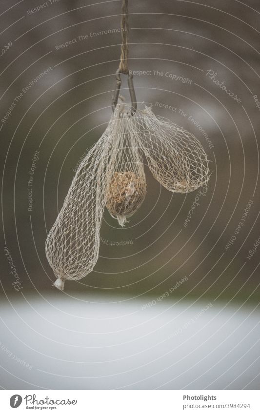 Tit dumplings and empty feeding nets on a carabiner carbine titmice dumplings Birdseed Feed Net Empty Full Exterior shot Colour photo Day Deserted Nature Animal
