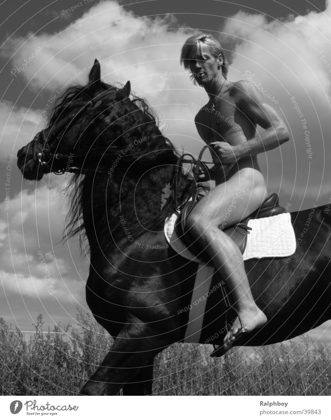 mister germany naked on horse Man Horse Naked Wind Nature Power Beautiful