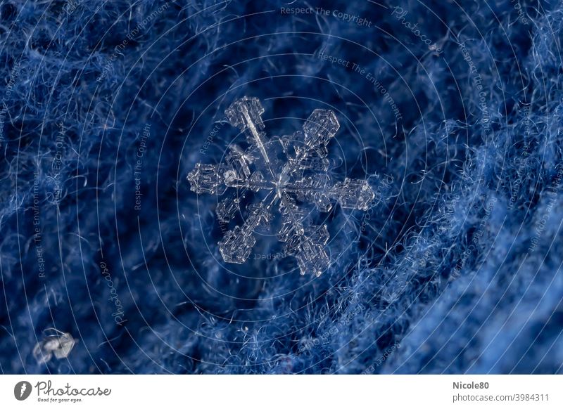 Snowflake on blue fabric macro Macro (Extreme close-up) macro photography Winter Delicate Ice Fragile Frost Close-up Exterior shot Cold Ice crystal Nature