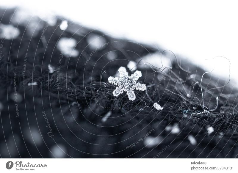 Snowflake on black knit Snowflake on fabric Winter Cold Ice Exterior shot Snowfall Frost Colour photo Delicate Fragile Ice crystal Deserted