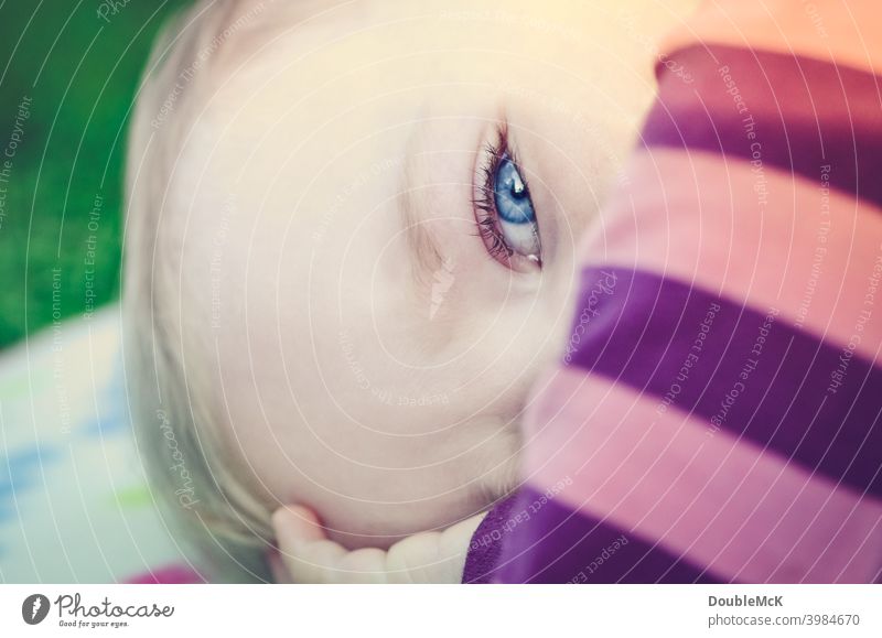 Close up of a toddler lying on a picnic blanket Toddler Girl Face Infancy Human being 1 1 - 3 years Colour photo Exterior shot Day Shallow depth of field