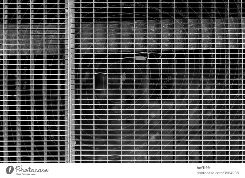gratings with gaps Grid Gray Metal grid Mesh grid Pattern Structures and shapes Sharp-edged Abstract Grating Line Steel Detail Design Fence