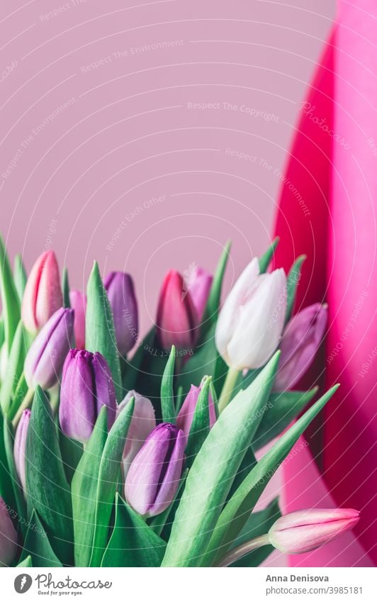 Colorful Classic Bunch of Tulips tulip day bunch flower bouquet mothers day purple pink nature spring green 8 march beautiful color blossom card summer red gift