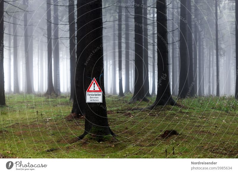 Warning sign forestry work in a foggy forest Forest Tree Fog felling Forest work forest work Safety Risk peril clearing blocking Clearing Bark-beetle
