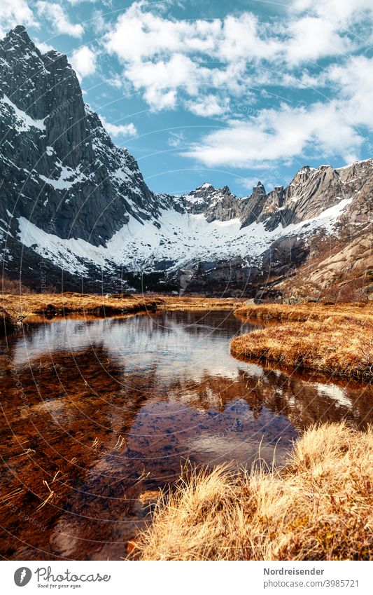 Spring in a canyon with rock wall and water on the Lofoten in Norway Lofotes Water mountains Snow Rock Lake River curt Peak Grass Wall of rock Meadow reflection