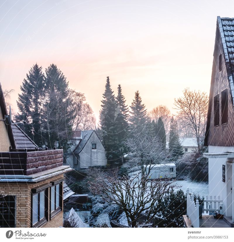 Winter sunrise with houses Frost View from a window Still Life Ice White Snowscape House (Residential Structure) Garden Winter's day Cold Winter mood Sunrise