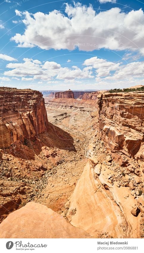 Panoramic view of Canyonlands National Park, Utah, USA. Americas Landscape Valley Desert Cliff Erosion Nature Rock Mountain Adventure Picturesque Sky Wilderness