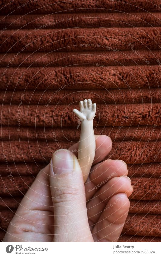 Female hand holding a small antique doll arm against a ribbed velvet background female toy grasp feel feeling sensitive rust orange brown concept isolated