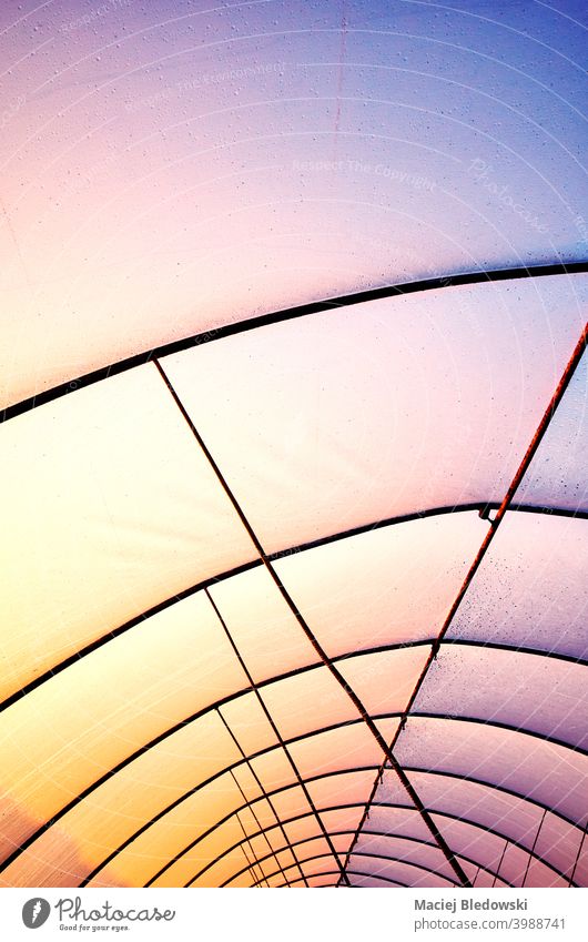 Plastic greenhouse cover with rusty frame at sunset. plastic roof industry drops droplet colorful purple yellow abstract construction interior dirty background