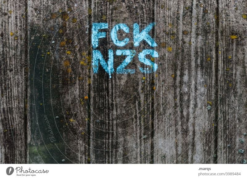 FCK NZS Graffiti Wall (building) Gray Blue Letters (alphabet) Characters nazis out Politics and state Fascist Elections Extreme Anti-fascism Fascism fuck nazis