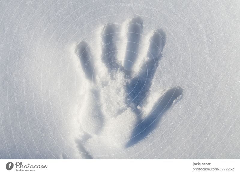 Handprint In Fresh Snow handprint Snow layer Cold White Winter mood Simple cold hand Silhouette Background picture Imprint Sunlight Shadow Signs of life Touch