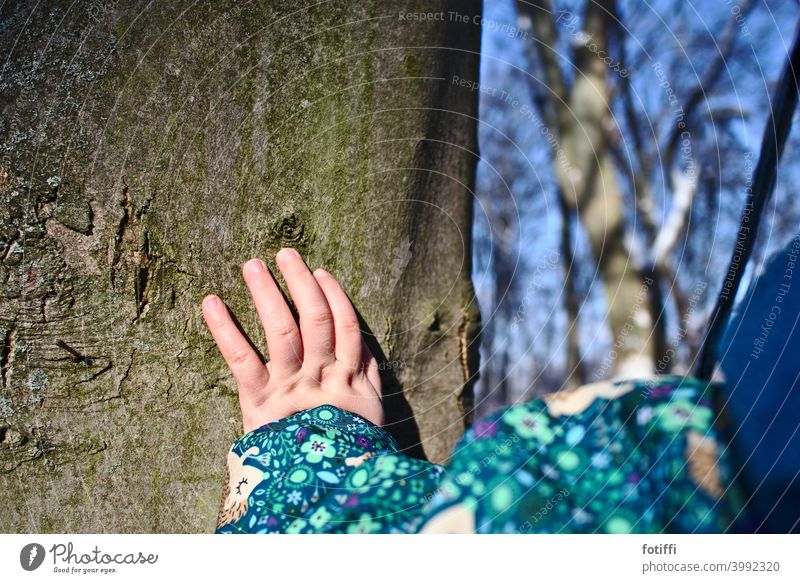 Bork feelings - toddler touches a tree Tree Tree trunk Toddler Emotions Surface fumble Touch bark Nature Forest Exterior shot Plant Environment Tree bark Detail