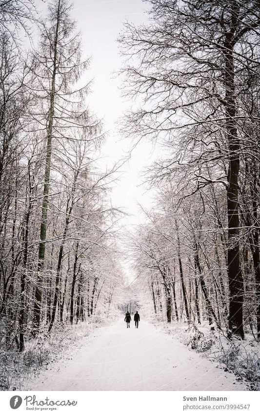 Couple walking through snowy forest Happy Man Woman Relationship Together couple Lovers Trust Affection Harmonious Husband Wife Forest Tree Nature Deserted