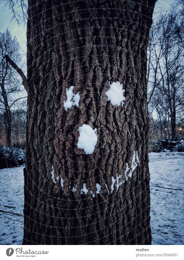 Snowley Smiley Tree Face Smiling Deserted Exterior shot Optimism Colour photo bark
