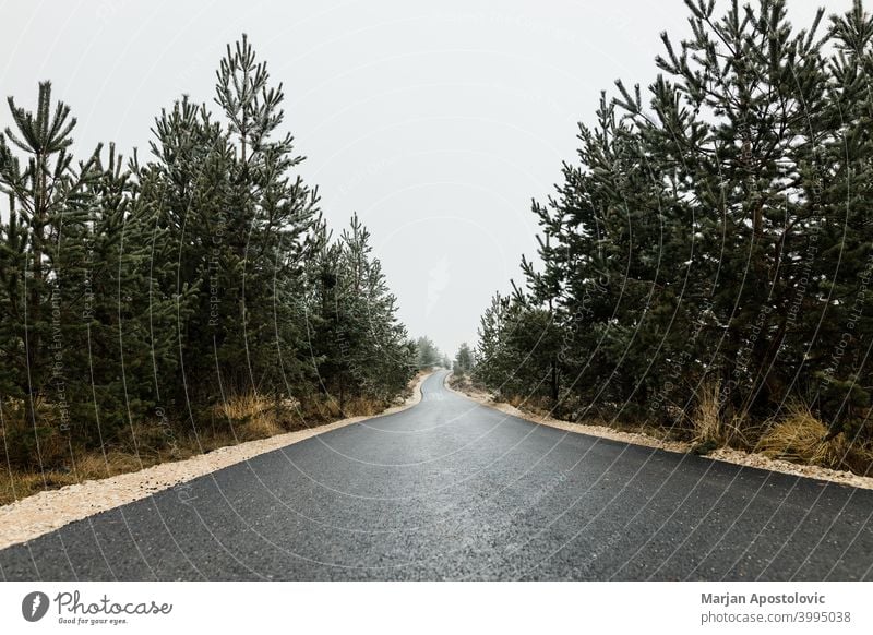 Empty mountain road in autumn overcast day asphalt country countryside drive driveway empty environment europe evergreen foliage forest forestry journey