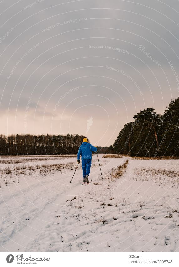 Cross-country skier Winter walk cross-country skier Cross country skiing Snow Forest Sky Sun Sports Movement Healthy relaxation Lonely Exterior shot Nature