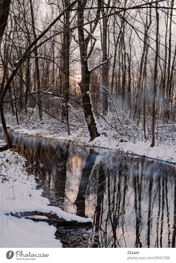winter landscape Winter walk Landscape Nature Brook River Water reflection Sunset trees Reflection chill Frost Lonely tranquillity relaxation Moody Winter mood