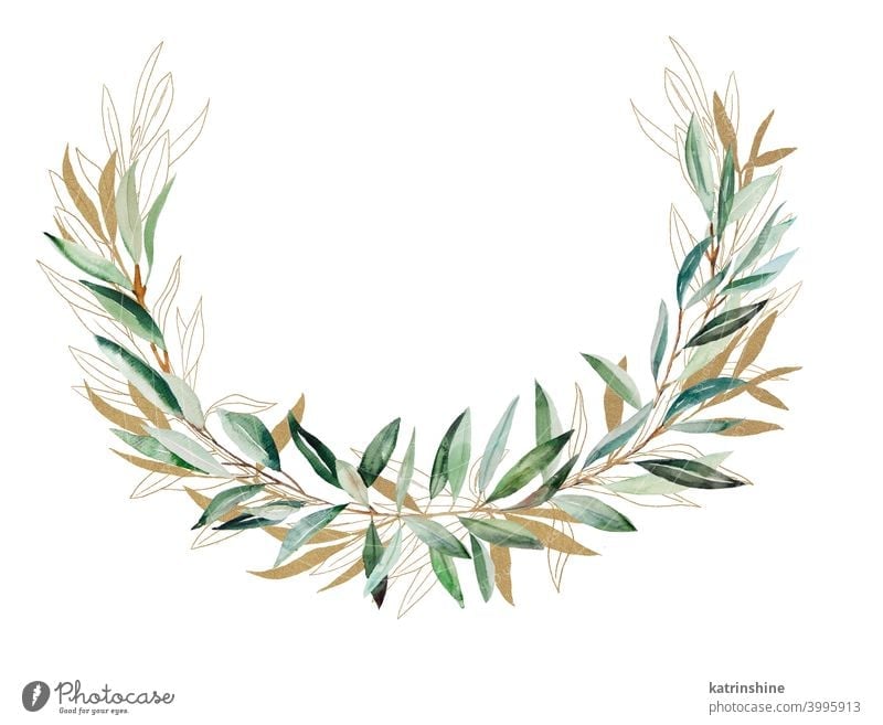 Watercolor Olive branch gold frame illustration watercolor Olives leaves wreath Drawing green paper Botanical Leaf Round Hand drawn Ornament Plant Foliage Paint