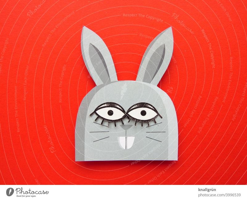 hasi Hare & Rabbit & Bunny Rodent Easter Easter Bunny Funny Animal big eyes Buck teeth DIY Handicraft Looking Colour photo Cute wittily Paper Hare ears Deserted