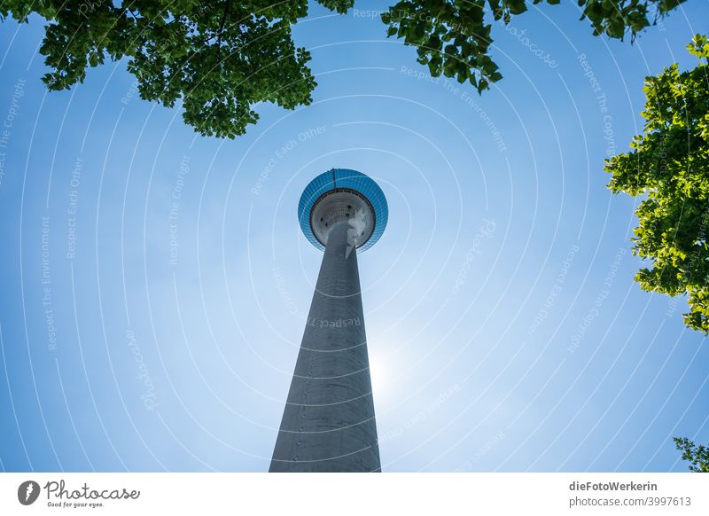View from below into the sky with the Düsseldorf Rhine Tower in the middle Architecture Tree colors Television tower Building Contents Nature Plant Blue Gray