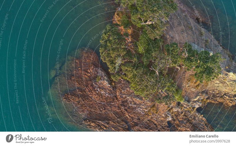 Aerial view Rock Island in Rocky Bay. Waiheke Island in New Zelanad. Drone drone view SEA Water Tree Natural Landscape