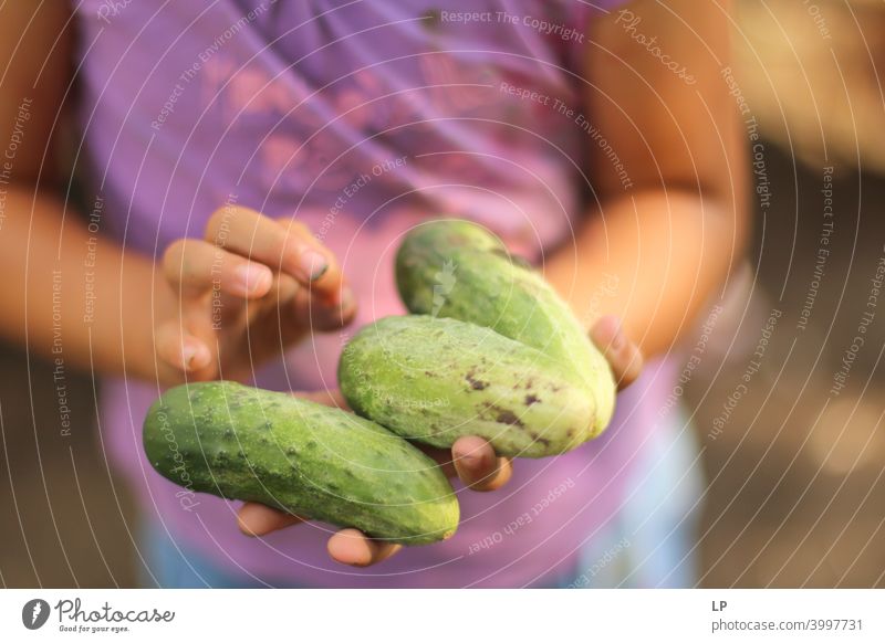 girl showing fresh cucumbers full of dirt Copy Space middle Copy Space bottom Copy Space top Copy Space right Structures and shapes Copy Space left Pattern
