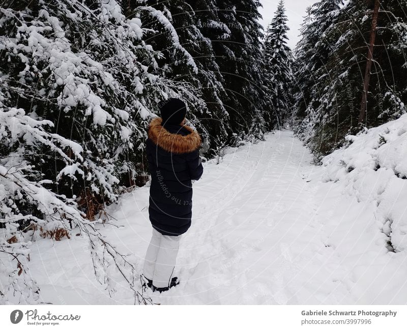 Woman walking in the forest with snow Snow Forest firs Black Forest forest path Winter coat Ski pants Cap White Brown cold season chill Frozen twigs