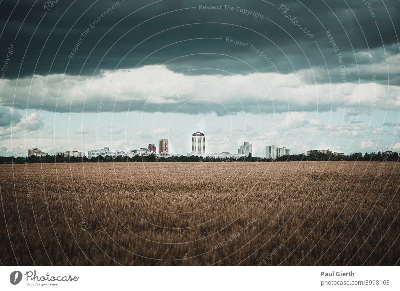 Skyline of Berlin- south in thunderstorm; thunderclouds; skyline; cornfield Storm clouds Town Capital city Clouds Cornfield Germany Exterior shot
