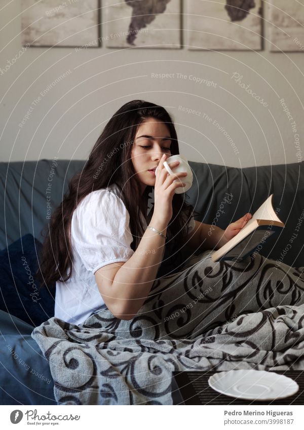 Woman drinking from a cup of coffee and reading a book female relax warm soft cute rest beautiful happy young living woman interior relaxation window people