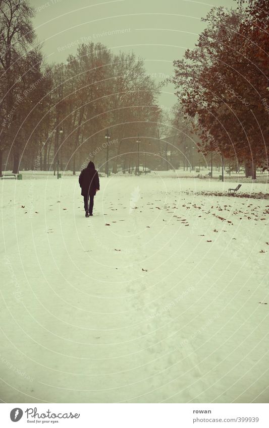 solitary Human being Masculine Man Adults 1 Landscape Winter Snow Snowfall Tree Garden Park Think Going Cold Emotions Moody Sadness Lovesickness Disappointment
