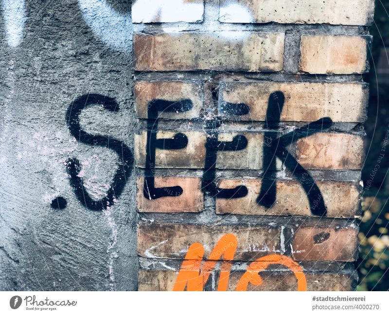 Seek Search search Find Clue Wall (barrier) Wall (building) Graffiti Daub Street art Word Facade Deserted Exterior shot Text