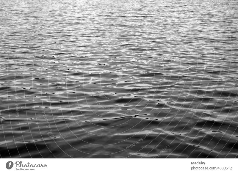 The water surface of the Staffelsee before the storm in Seehausen near Murnau in the district of Garmisch-Partenkirchen in Upper Bavaria, photographed in classic black and white