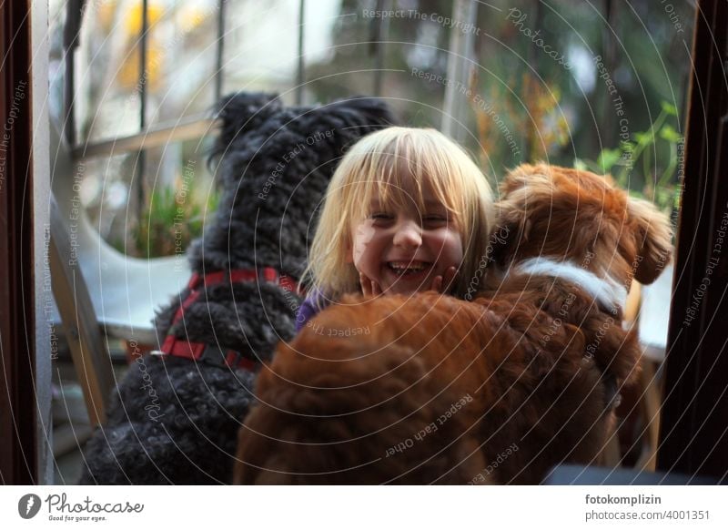Child happy between two dogs dog love Love of animals fortunate Pet Dog Children and animals Animal Communication Man and dog Happiness Human being Toddler Near