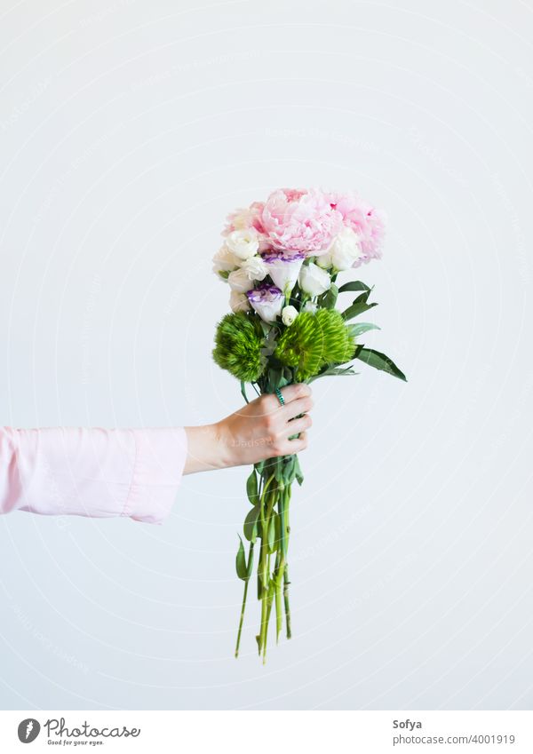 Female hand holding beautiful pastel peony bouquet woman flowers mother day female florist mothers day pink spring lifestyle faceless womens day expression