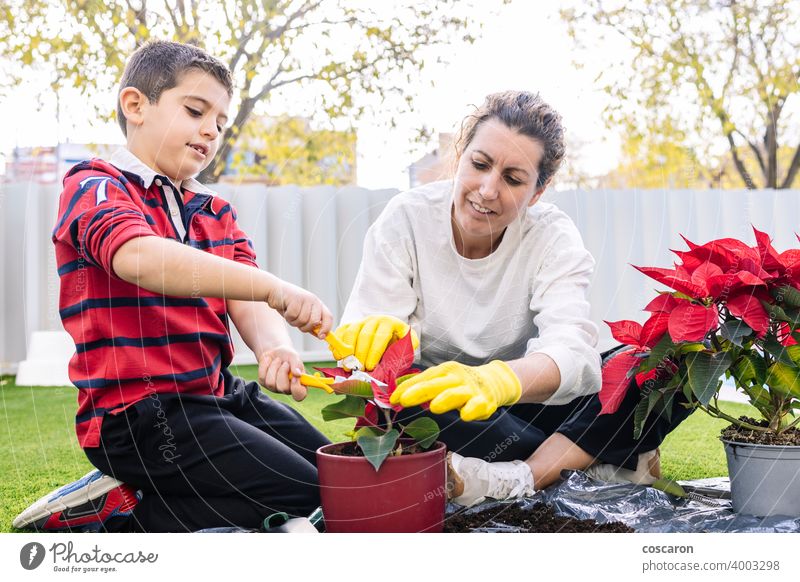 Mother and son in garden planting  flowers beautiful bloom botany boy care caucasian cheerful child childhood cultivation daughter ecology explaining family